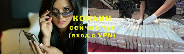 трава Богородицк