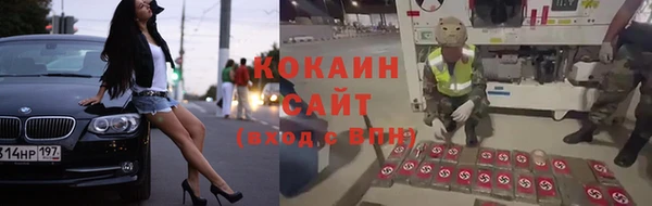 сатива Богородск