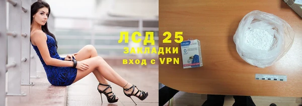 ГАЛЛЮЦИНОГЕННЫЕ ГРИБЫ Аркадак