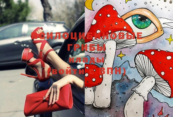 ГАЛЛЮЦИНОГЕННЫЕ ГРИБЫ Аркадак