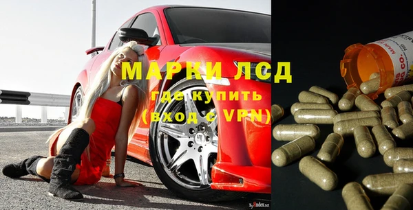 ГАЛЛЮЦИНОГЕННЫЕ ГРИБЫ Аркадак